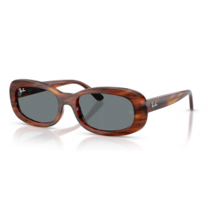 Occhiale sole Rayban 2221